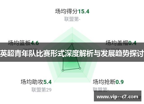 英超青年队比赛形式深度解析与发展趋势探讨