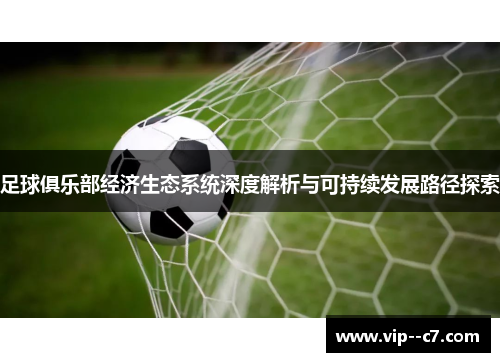 足球俱乐部经济生态系统深度解析与可持续发展路径探索