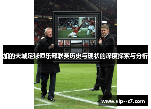 加的夫城足球俱乐部联赛历史与现状的深度探索与分析