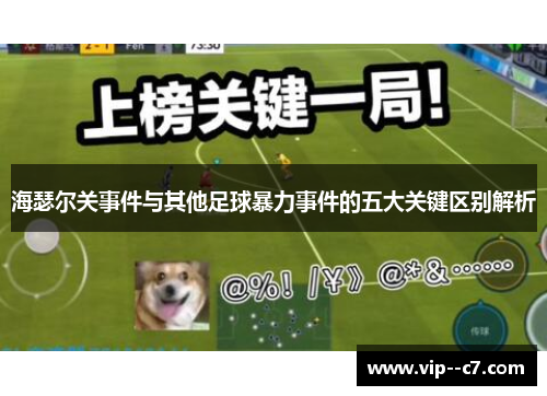 海瑟尔关事件与其他足球暴力事件的五大关键区别解析