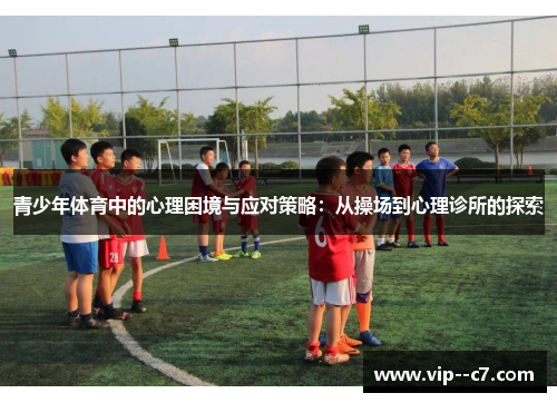 青少年体育中的心理困境与应对策略：从操场到心理诊所的探索