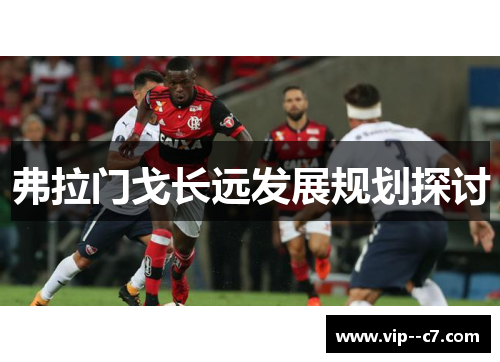 弗拉门戈长远发展规划探讨