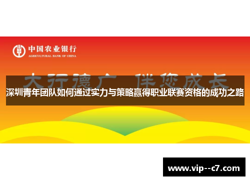 深圳青年团队如何通过实力与策略赢得职业联赛资格的成功之路