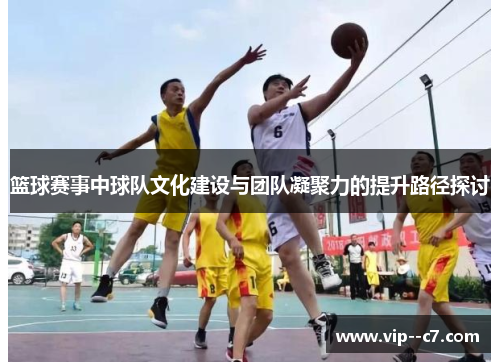 篮球赛事中球队文化建设与团队凝聚力的提升路径探讨