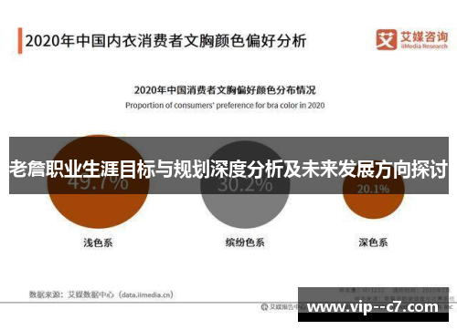 老詹职业生涯目标与规划深度分析及未来发展方向探讨