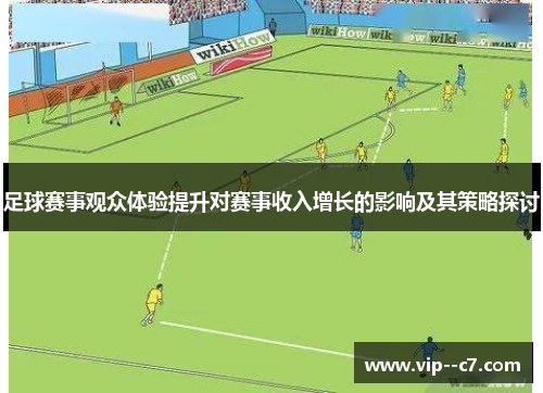 足球赛事观众体验提升对赛事收入增长的影响及其策略探讨